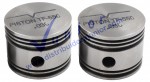 Piston Compresor TF550 030 5 Ranuras  (Un Jgo 2 Pzas)